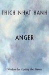 Anger by Thich Nhat Hanh (2001, Hardcover, Illustrated)