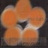 CD: Pseudo - Nouveau Sneakers, 1999