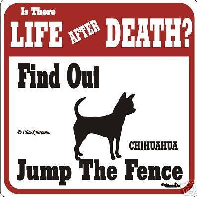 Chihuahua Funny Warning Dog Sign - Many ...