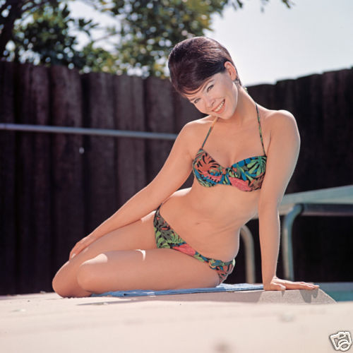 Yvonne Craig Sexy Smiling Cheesecake 12x12 Photograph