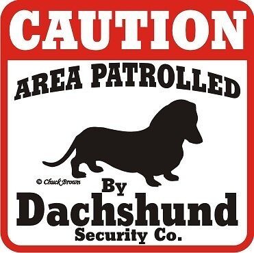 Dachshund Caution Dog Sign   Many Pet Breeds Available  