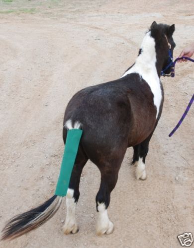 CX8a   mini miniature horse neoprene tail wrap BLUE  