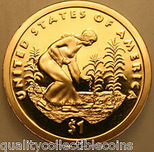 Native American Dollar 2009 S proof, also called a Golden Dollar.