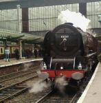 stephenb3403